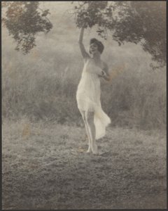 [仙女]