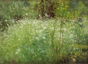 牛眼雏菊和鸢尾花，1920年 作者 亚瑟·哈克