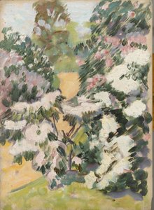 开花，c.1900