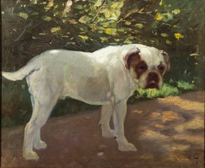 斗牛犬在花园的小路上（布面油画）
