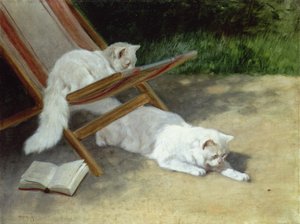 两只白色的波斯猫与瓢虫的躺椅