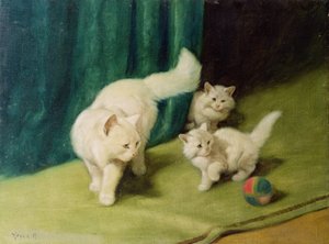 与两只小猫的白色波斯猫