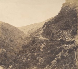 在通往沃特米特的路上，北德文郡林顿附近，1856年。 作者 阿瑟·朱利叶斯·波洛克