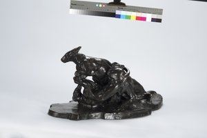袋鼠和狗 作者 阿瑟·普特南