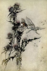 仲夏夜之梦 作者 亚瑟·拉克汉姆（Arthur Rackham）