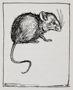 一个鼠标 作者 亚瑟·拉克汉姆（Arthur Rackham）