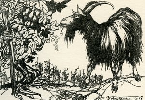 伊索寓言 作者 亚瑟·拉克汉姆（Arthur Rackham）