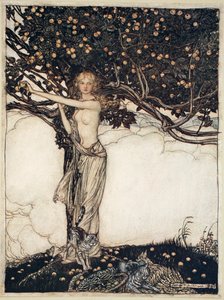 芙蕾雅，美丽的人》，1910年 作者 亚瑟·拉克汉姆（Arthur Rackham）
