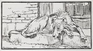 老苏丹》中的狗的插图。 作者 亚瑟·拉克汉姆（Arthur Rackham）
