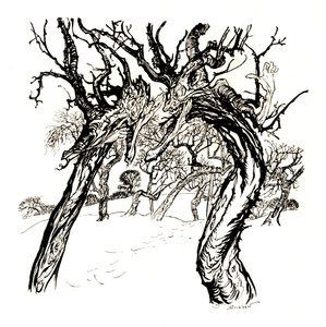 从苹果碟中窃窃私语的树木，1917年，1923年 作者 亚瑟·拉克汉姆（Arthur Rackham）