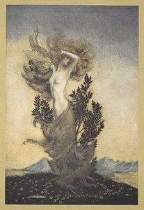 ......就像达芙妮一样，根深蒂固，逃离了阿波罗。 作者 亚瑟·拉克汉姆（Arthur Rackham）