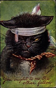 猫，你应该看看另一个家伙 作者 阿瑟·蒂勒