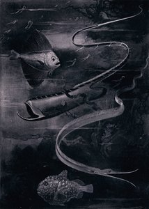 深海鱼（石版 作者 亚瑟·特威德