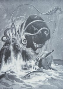 克拉肯与抹香鲸的较量