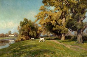 Grove Farm，Lenton，诺丁汉