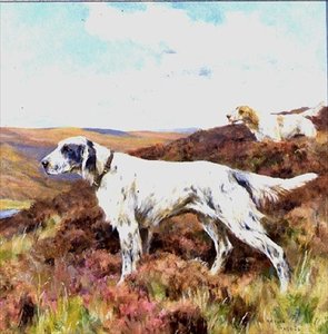 英国牧羊犬（木板油画）