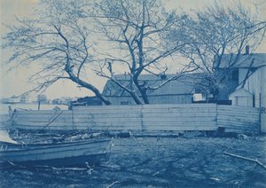 纽约市岛c。 1900年。