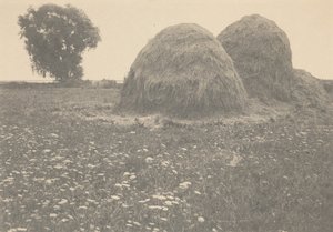 干草堆，伊普斯维奇，约 1894 年（照片1894 年（照片）