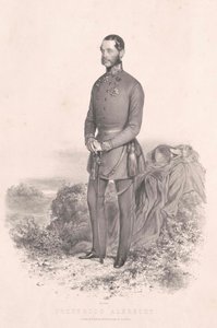 奥地利大公（1817-1895） 阿尔布雷希特 作者 艺术家未知