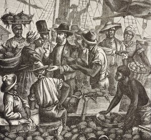 英国历史（19 世纪）。殖民（1880 年）。巴哈马出售菠萝。英国在新普罗维登斯岛的殖民地。菠萝是拿骚港最重要的出口产品之一。雕刻。私人收藏 作者 艺术家未知