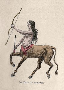 Staneux 贝特的代表插图