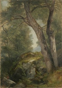 胡桃树在海牙，乔治湖，纽约，1862年