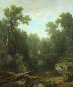 Chapel Pond Brook，Keene Flats，Adirondack Mountains，New York，1871