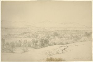 风景，巴里镇，纽约，1865年（石墨与棕色纸上的树桩）