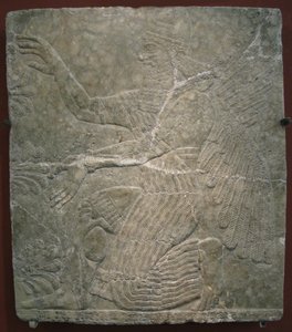 有翼的神在神圣的树旁。公元前9世纪从宁胡鲁（Nimrud）的卡鲁（Kalhu）的Ashurnasirpal II宫获得的救济 作者 亚述人