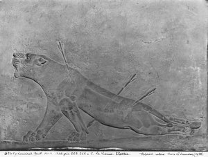 受伤的母狮，从描绘Ashurbanipal II杀死狮子的救济小组的细节，从Ashurbanipal宫II，Nimrud，伊拉克，新亚述，公元前668-627（石灰石）