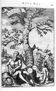 亚当的家谱树，1675年。