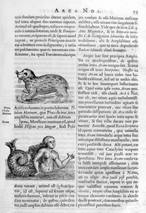 神话生物，1675年。 作者 阿塔纳修斯·基歇尔