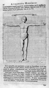 人的比例，1675年
