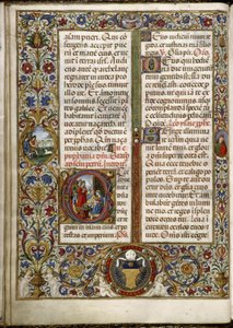 托马斯-詹姆斯（Thomas James）的 Missal：页面上有一个字母："玛吉的崇拜"，页边有一个奖章："圣母领报时的牧羊人"。