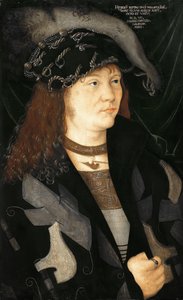 德文：海因里希五世 梅克伦堡亨利五世肖像 作者 归功于 Jacopo de' Barbari