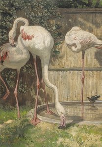 在池水上的三只火烈鸟。 1872年 作者 八月胡同