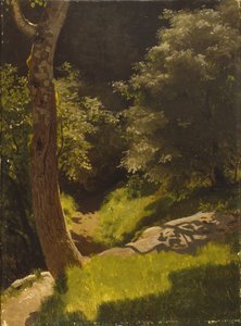 带花园小径的公园景观（布面油画）