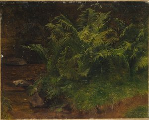 蕨类植物研究（布面油画）