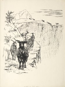 山羊