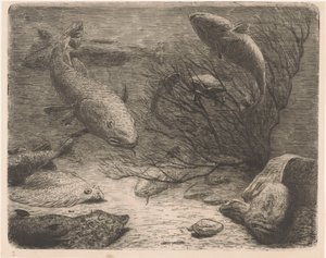 水族馆 作者 八月勒格拉斯