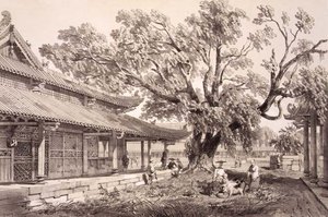广州鸿安郊区的佛寺，板块24来自《中国速写》，由Eugene Ciceri（1813-90）1842年刻制（着色石印）。