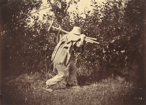 农民，约 1870 年（照片1870 年（照片）