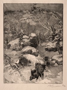 罗氏（Roche）Cuvier Chatillon，1887年。 作者 奥古斯特·路易斯·勒佩尔
