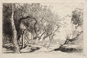 扭曲的树，1915年。 作者 奥古斯特·路易斯·勒佩尔