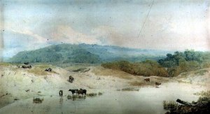 查看约克郡，河流和牛，（绘图）