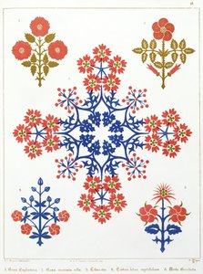 Violiet，iris和郁金香图案壁纸设计，由M. und N. Hanhart印制