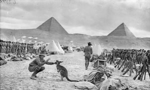 1914年12月，在梅纳营地的澳大利亚第9和第10营的线，望向金字塔