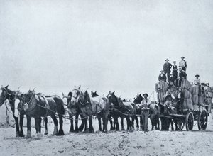 澳大利亚西部的羊毛携带团队，1900年，来自澳大利亚南部十字勋章 - 澳大利亚的一瞥，由墨尔本外交部出版，1908年