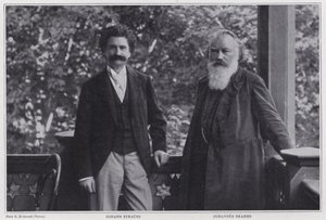 作曲家Johann Strauss the Younger和Johannes Brahms，维也纳