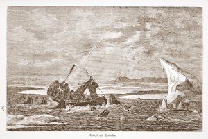 1867年与海象战斗 作者 奥地利学派